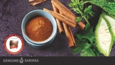 10 INGREDIENTS FOR BLOOD SUGAR MANAGEMENT SUPPORT