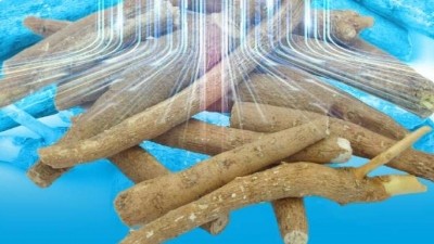 Asera Ashwagandha validated in new clinical study