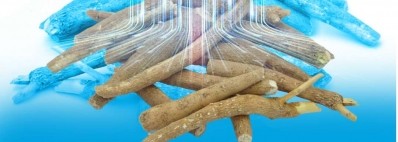 Asera Ashwagandha validated in new clinical study