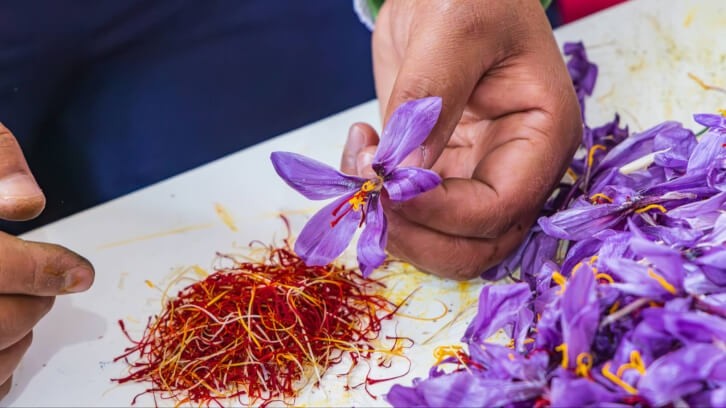 Plant cell technology can provide a sustainable and economic alternative to current labor-intensive harvesting of saffron from crocus flowers, says Ayana Bio. Image © Emily_M_Wilson / Getty Images