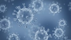 Covid-19: A Game Changer for Probiotics