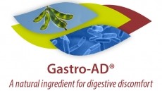 Fermented Soy for Relief of Heartburn Symptoms
