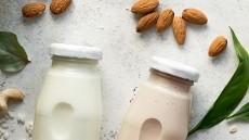 Functional beverage powders flex their proteins