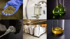 High-Quality CBD Ingredients for Every Formulation