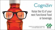 cognizin