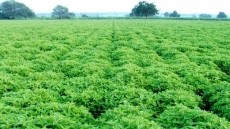 Investing in a Sustainable Supply Chain