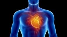 KaraHeart™ Showed Results in Just 30 Days