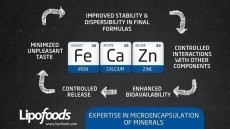 Lipofoods