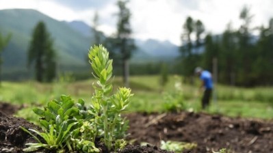 Rhodiolife receives Non-GMO Project Verified seal