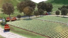 See why not all stevia is created equal