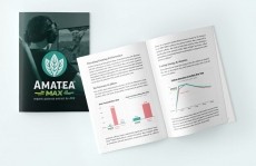 This Amazonian 'super leaf' may help nootropic performance