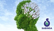 TRADITIONAL HERBS TO SUPPORT BRAIN HEALTH