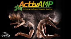 Activate the 