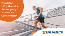 ErgoActive® - 