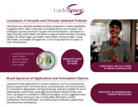 LactoSpore: The Versatille, Clinically-Validated Probiotic with a Long Shelf Life