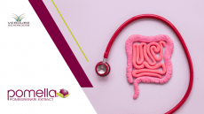 Pomella® Extract: Prebiotic Potential in New Study